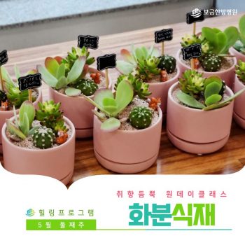 [화분식재] 취향 듬뿍 원데이 클래스! 화분식재