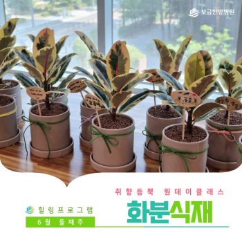 [화분식재] 취향 듬뿍 원데이 클래스! 화분식
