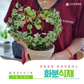 [화분식재] 취향 듬뿍 원데이 클래스! 화분식재