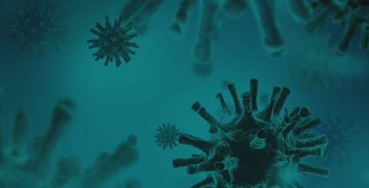 항바이러스 치료