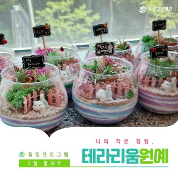 [테라리움 원예] 나의 작은 정원, 이오난사 테라리움 만들기