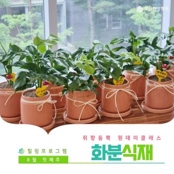 [화분식재] 취향 듬뿍 원데이 클래스! 화분식재