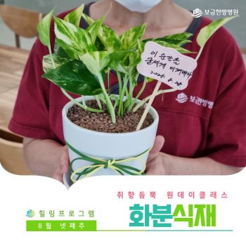 [화분식재] 취향 듬뿍 원데이 클래스! 화분식재