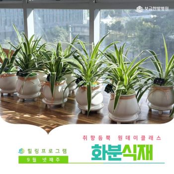 [화분식재] 취향 듬뿍 원데이 클래스! 화분식재