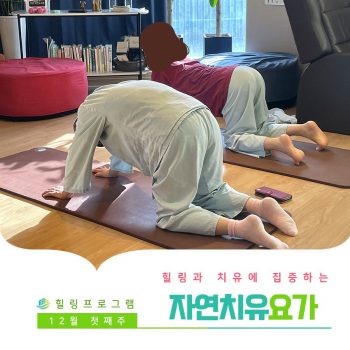 [자연치유요가] 힐링과 치유에 집중하는 시간, 자연치유요가