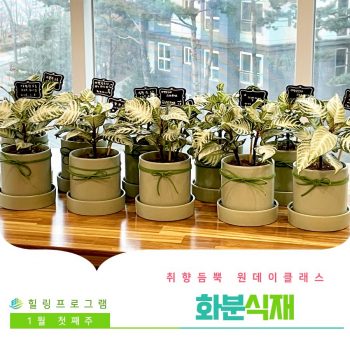 [화분식재] 취향 듬뿍 원데이 클래스! 화분식재