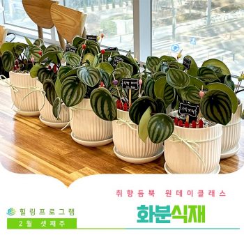 [화분식재] 취향 듬뿍 원데이 클래스! 화분식재