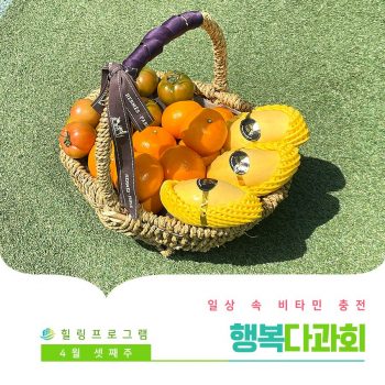 [행복다과회] 일상 속 비타민 충전! 행복다과회