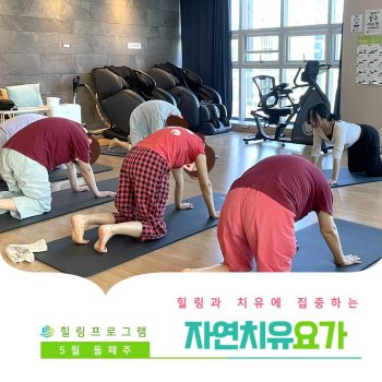 [자연치유요가] 힐링과 치유에 집중하는 시간, 자연치유요가