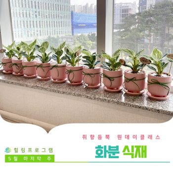 [화분식재] 취향 듬뿍 원데이 클래스! 화분식재