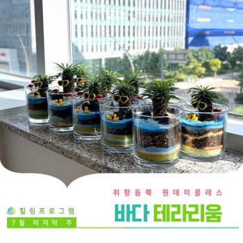 [바다 테라리움] 취향 듬뿍 원데이 클래스! 바다 테라리움