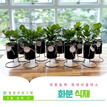 [화분식재] 취향 듬뿍 원데이 클래스! 화분식재
