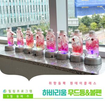 [하바리움 무드등&볼펜] 취향 듬뿍 원데이 클래스! 하바리움 무드등&볼펜